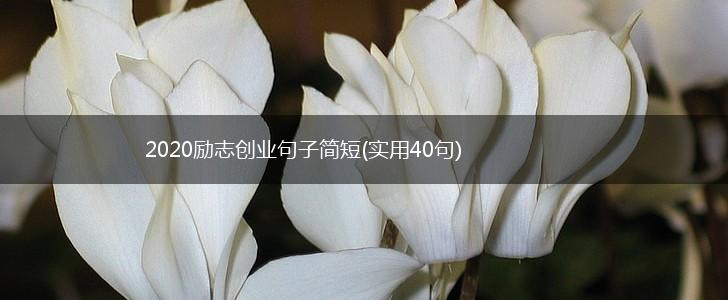 2020励志创业句子简短(实用40句),第1张