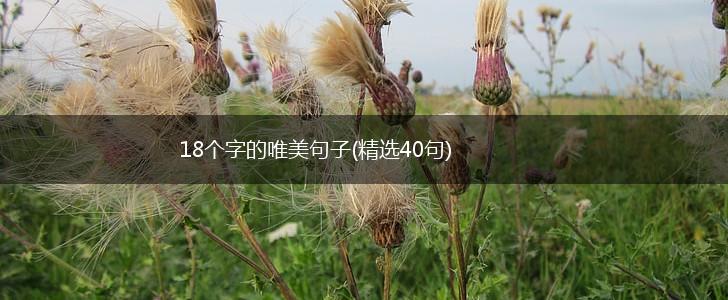 18个字的唯美句子(精选40句),第1张