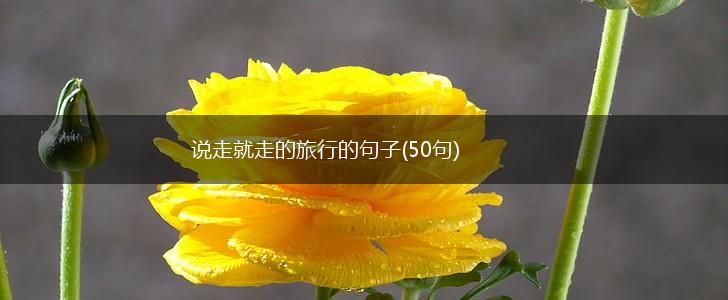 说走就走的旅行的句子(50句),第1张