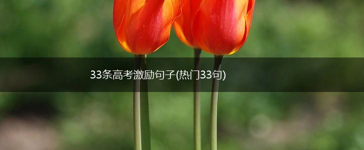 33条高考激励句子(热门33句),第1张