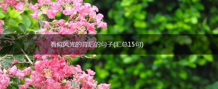 看似风光的背后的句子(汇总15句),第1张