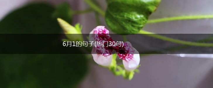 6月1的句子(热门30句),第1张