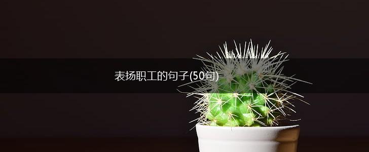表扬职工的句子(50句),第1张