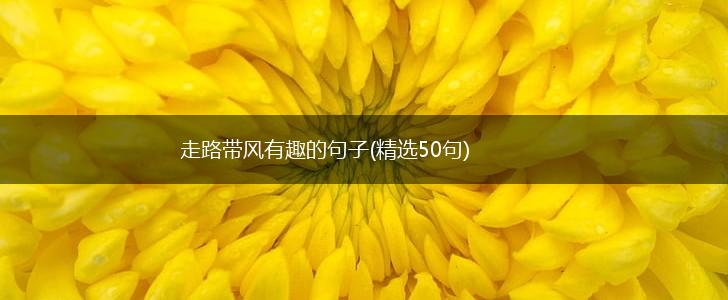 走路带风有趣的句子(精选50句),第1张