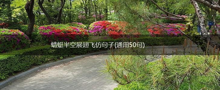蜻蜓半空展翅飞仿句子(通用50句),第1张