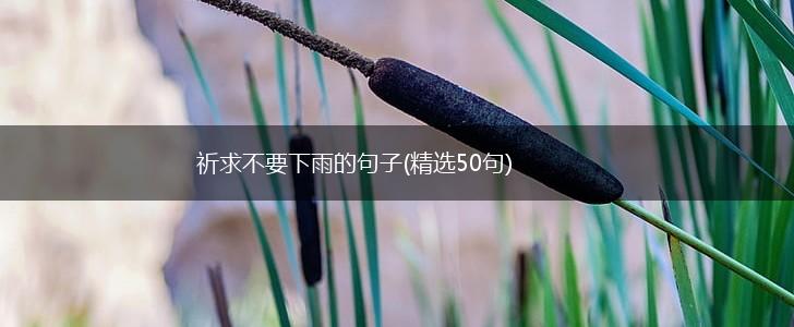 祈求不要下雨的句子(精选50句),第1张