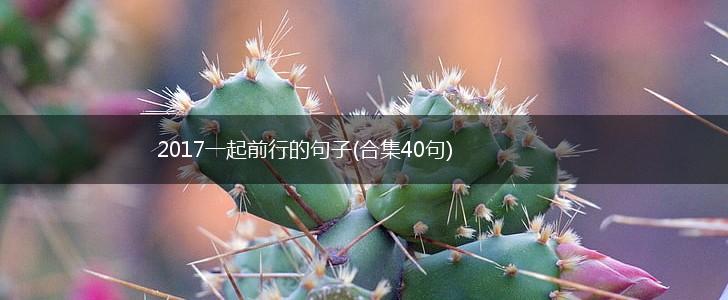 2017一起前行的句子(合集40句),第1张