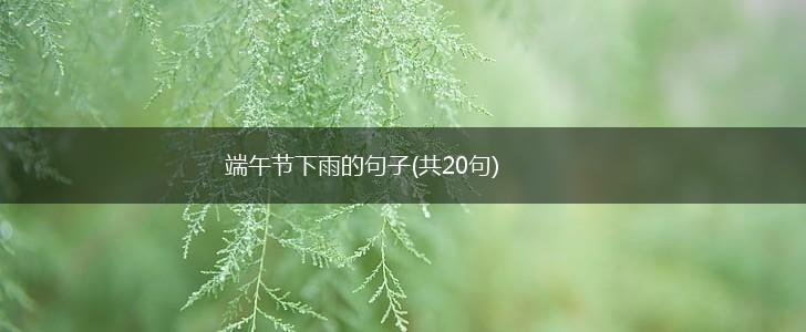 端午节下雨的句子(共20句),第1张