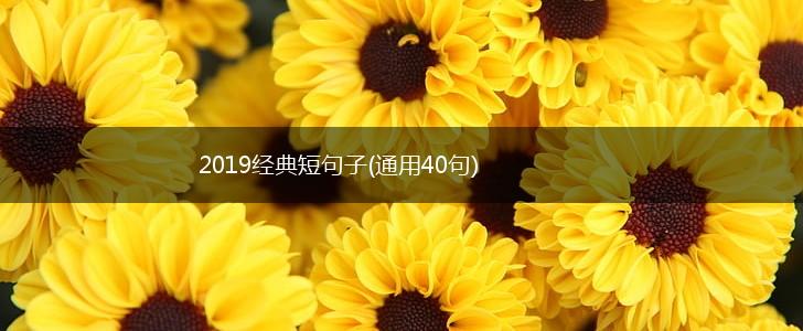 2019经典短句子(通用40句),第1张