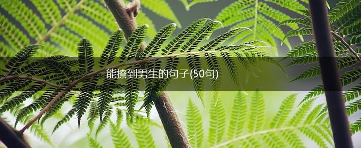 能撩到男生的句子(50句),第1张