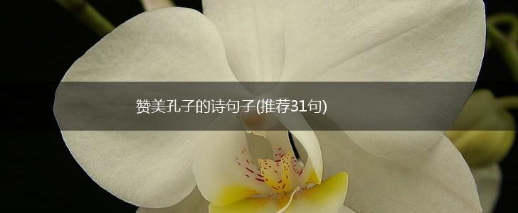 赞美孔子的诗句子(推荐31句),第1张