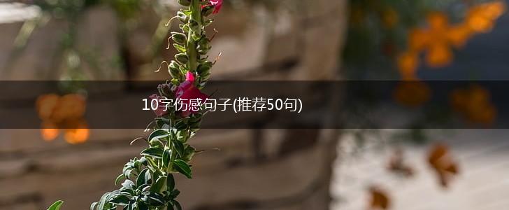 10字伤感句子(推荐50句),第1张
