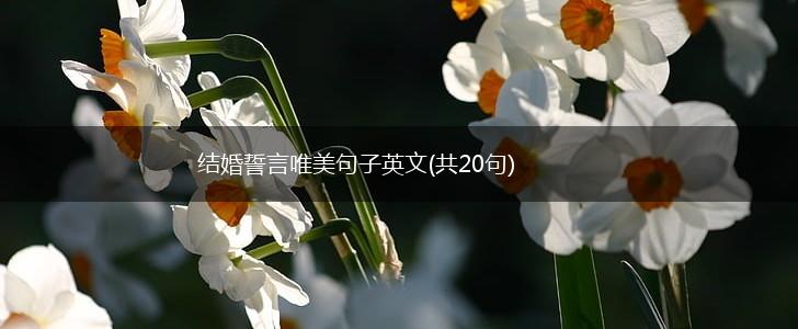 结婚誓言唯美句子英文(共20句),第1张