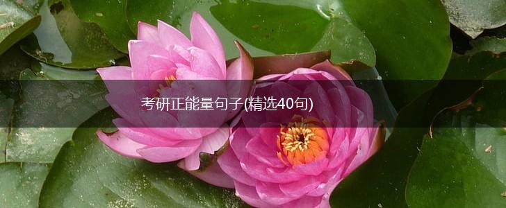 考研正能量句子(精选40句),第1张