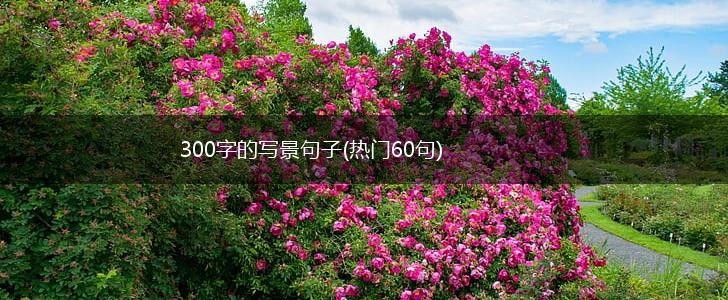 300字的写景句子(热门60句),第1张