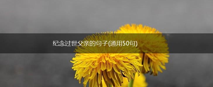 纪念过世父亲的句子(通用50句),第1张
