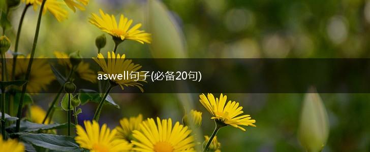 aswell句子(必备20句),第1张