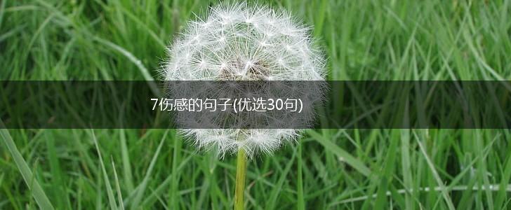 7伤感的句子(优选30句),第1张