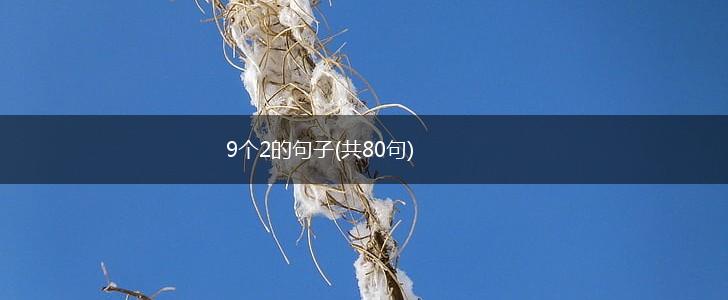 9个2的句子(共80句),第1张
