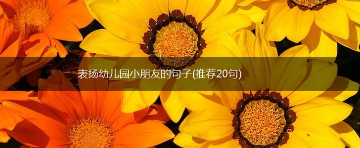 表扬幼儿园小朋友的句子(推荐20句),第1张