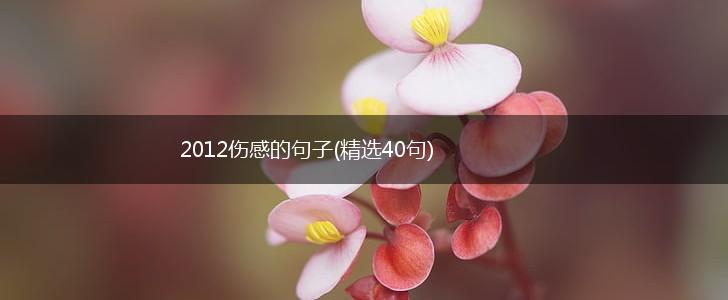 2012伤感的句子(精选40句),第1张