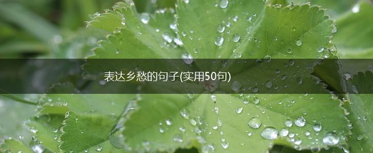 表达乡愁的句子(实用50句),第1张