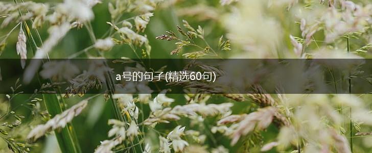 a号的句子(精选60句),第1张