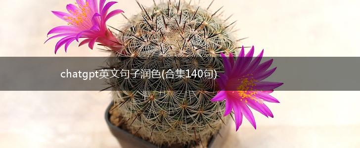 chatgpt英文句子润色(合集140句),第1张