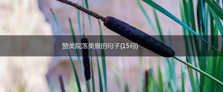 赞美院落美景的句子(15句),第1张
