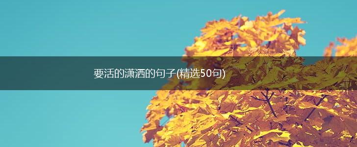 要活的潇洒的句子(精选50句),第1张