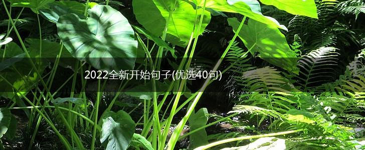 2022全新开始句子(优选40句),第1张