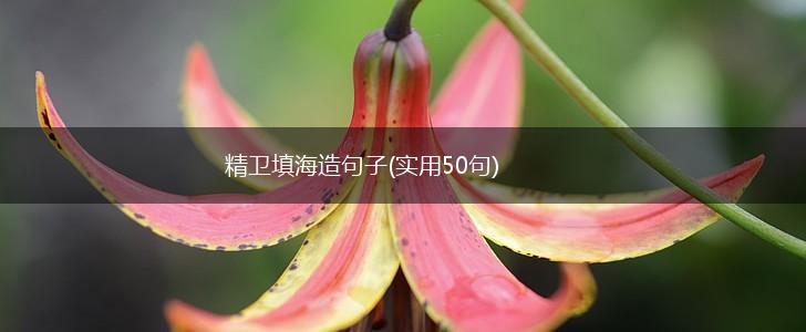 精卫填海造句子(实用50句),第1张