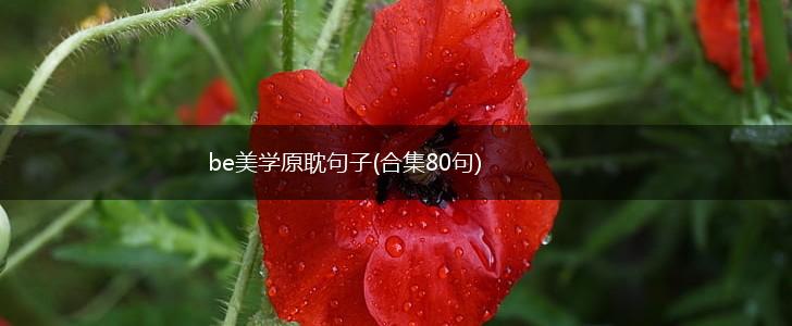 be美学原耽句子(合集80句),第1张