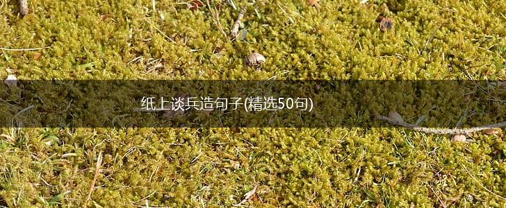 纸上谈兵造句子(精选50句),第1张