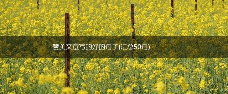 赞美文章写的好的句子(汇总50句),第1张