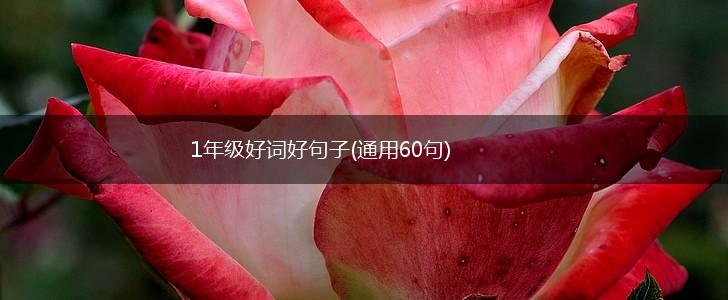 1年级好词好句子(通用60句),第1张