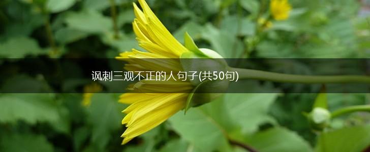 讽刺三观不正的人句子(共50句),第1张
