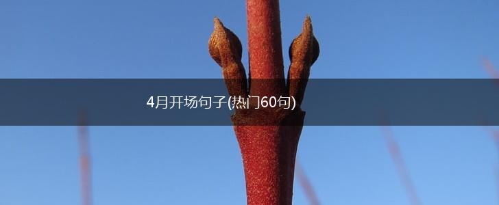 4月开场句子(热门60句),第1张