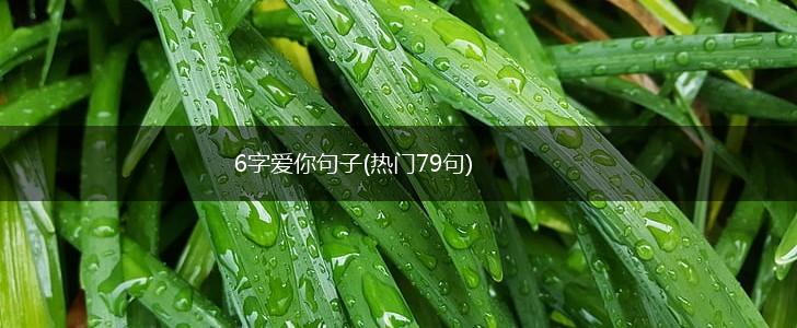 6字爱你句子(热门79句),第1张