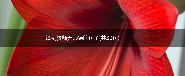讽刺教师无师德的句子(共30句),第1张