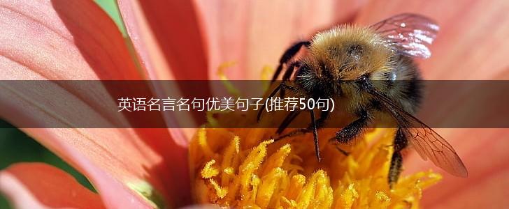 英语名言名句优美句子(推荐50句),第1张