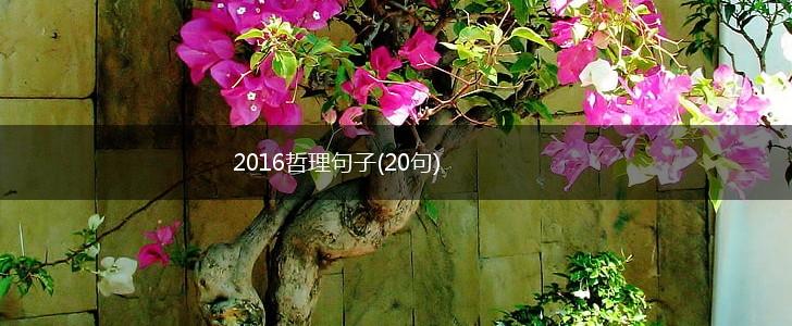 2016哲理句子(20句),第1张