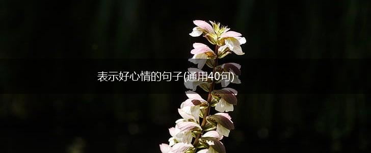 表示好心情的句子(通用40句),第1张