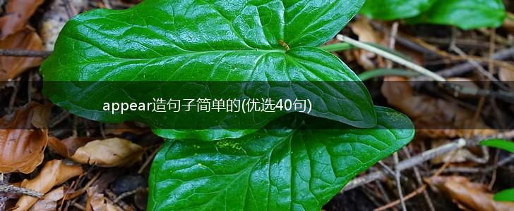 appear造句子简单的(优选40句),第1张