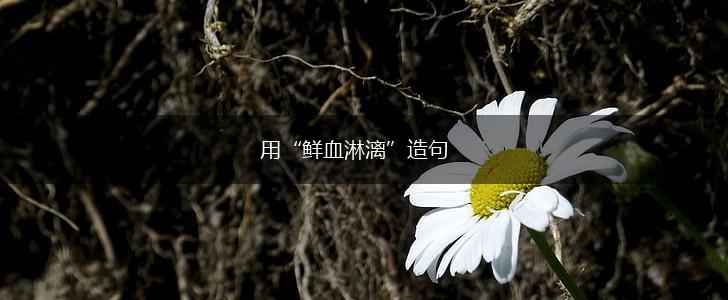 用“鲜血淋漓”造句,第1张