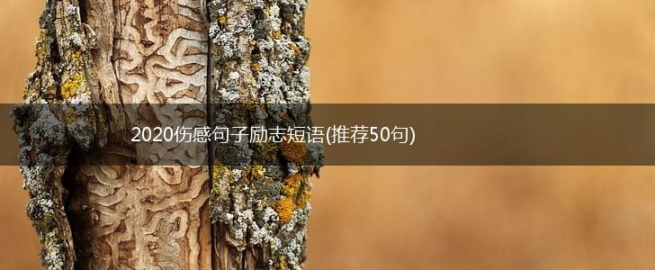 2020伤感句子励志短语(推荐50句),第1张