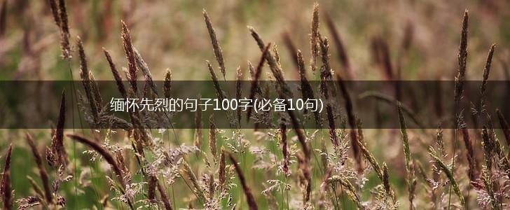 缅怀先烈的句子100字(必备10句),第1张