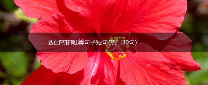 致闺蜜的唯美句子短句(热门30句),第1张