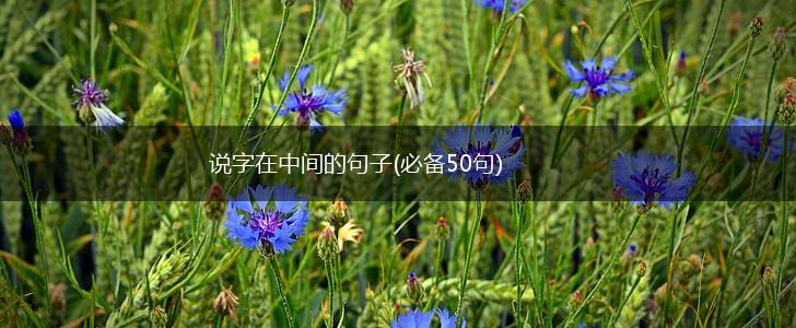 说字在中间的句子(必备50句),第1张