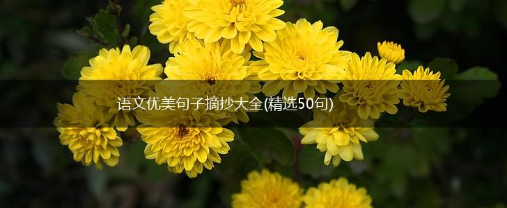 语文优美句子摘抄大全(精选50句),第1张